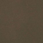 Forest Slab Zoom 1280 X 625