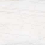 Neural Tabla (velvet)